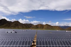 Ảnh minh họa. (Nguồn: THX/TTXVN)