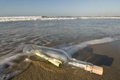 Ảnh minh họa. (Nguồn: internet)