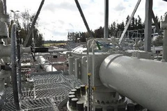 Ảnh minh họa. (Nguồn: THX/TTXVN)