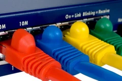 Ảnh minh họa. (Nguồn: Internet)