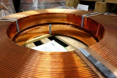 Ảnh minh họa. (Nguồn: Internet)