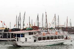 Tàu du lịch được sơn trắng để phục vụ khách thăm quan Vịnh. (Ảnh: Danh Lam/TTXVN)