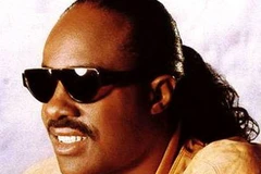 Nam ca sĩ người Mỹ Stevie Wonder. (Ảnh: tvtropes.org)