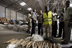 Ảnh minh họa. (Nguồn: AFP/TTXVN)