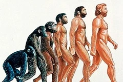 Ảnh chỉ mang tính minh họa. (Nguồn: Internet)