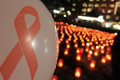 Ảnh minh họa. (Nguồn: THX/TTXVN)