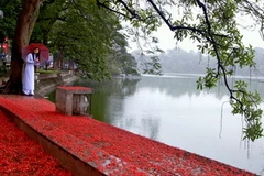 (Ảnh minh họa: Đình Na/TTXVN)