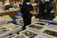 Tại chợ cá Tsukiji ở Tokyo ngày 23/3. (Nguồn: AFP/TTXVN)