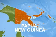 Ảnh minh họa. (Nguồn: Internet)