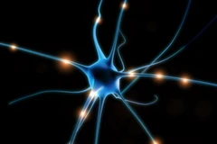 Ảnh minh họa. (Nguồn: Internet)