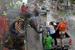 Người dân Thái Lan cưỡi voi và khách du lịch nước ngoài té nước mừng Tết Songkran tại Ayutthaya ngày 12/4 . (Nguồn: AFP/TTXVN)