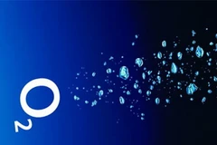 Ảnh minh họa. (Nguồn: Internet)