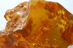 Hổ phách. Ảnh chỉ mang tính minh họa. (Nguồn: Internet)