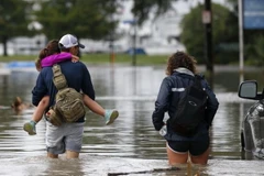 Cảnh ngập lụt do bão Cindy gây ra tại New Orleans. (Nguồn: AP)
