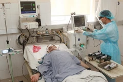 Ảnh chỉ có tính minh họa. (Ảnh: Lâm Khánh/TTXVN)