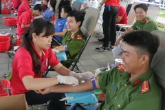 Ảnh chỉ có tính minh họa. (Ảnh: Ngọc Thiện/TTXVN)