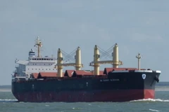 Tàu MV NM Cherry Blossom. (Nguồn: vesselfinder.com)