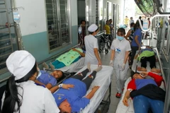 Ảnh chỉ có tính minh họa. (Ảnh: Mạnh Linh/TTXVN)