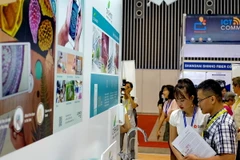 Khách tham quan Triển lãm. (Ảnh: Thế Anh/TTXVN)