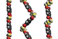 Dùng hạt polymer giữ ẩm đất để tăng năng suất