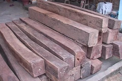 Ảnh minh họa. (Nguồn: TTXVN)