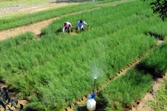 4,4 triệu USD cho dự án chiến lược thích ứng dựa vào hệ sinh thái