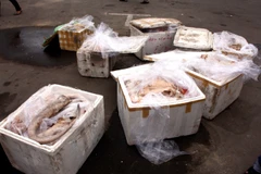 Ảnh minh họa. (Nguồn: TTXVN)