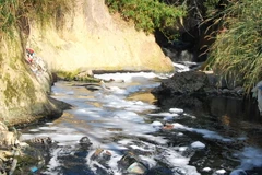 Bình Dương công khai 3.600 nguồn xả thải có nguy cơ cao