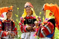 Mùa Xuân đã về với những bản làng của người Lô Lô 