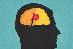 Phát hiện “công tắc” bật - tắt ý thức trong não bộ người