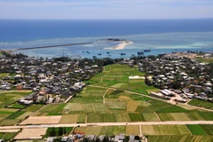 Chủ tịch MTTQ nêu cao tinh thần bám biển của bà con Lý Sơn