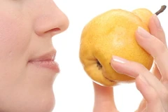 Khứu giác người có thể nhận biết 1.000 tỷ mùi khác nhau 