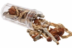 Thuốc gây ảo giác chiết xuất từ nấm giúp cai nghiện thuốc lá