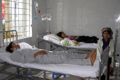 Lai Châu: 6 người ngộ độc "do ăn bọ xít đen" đã xuất viện