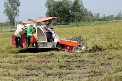 Đồng bào Khmer Sóc Trăng đón Sene Dolta với niềm vui được mùa