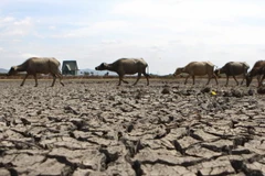 Nông dân Đồng Nai đào giếng khắp nơi vẫn phải mua nước sinh hoạt