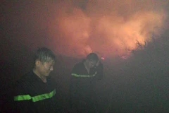 Kiên Giang: Nỗ lực khống chế cháy rừng tại huyện U Minh Thượng