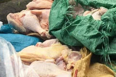 Thịt gà đông lạnh. (Ảnh minh họa: Ninh Đức Phương/TTXVN)