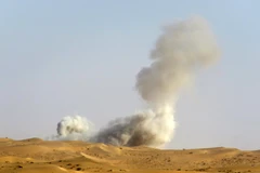 Yemen kêu gọi LHQ ngăn chặn Houthi vi phạm thỏa thuận ngừng bắn