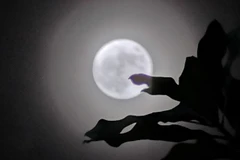 Người dân thế giới chiêm ngưỡng siêu trăng lớn nhất năm 2022