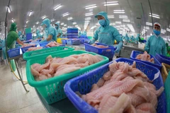 Chế biến cá tra xuất khẩu. (Ảnh: Vũ Sinh/TTXVN)