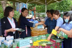 Cao Bằng khai mạc Chương trình du lịch về nguồn năm 2022