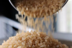 Thị trường nông sản: Nhu cầu lớn giúp giá gạo Ấn Độ ổn định ở mức cao