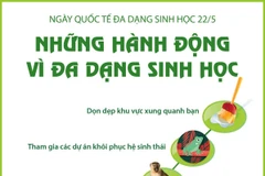 [Infographics] Xây dựng một tương lai chung cho mọi sự sống