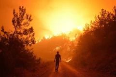 Cảnh báo nguy cơ xảy ra nắng nóng cực đoan 2 năm một lần