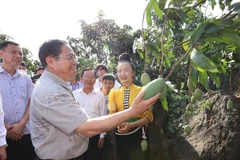 Thủ tướng Phạm Minh Chính thăm vùng sản xuất nông nghiệp tại xã Hát Lót, huyện Mai Sơn (Sơn La). (Ảnh: Dương Giang/TTXVN)