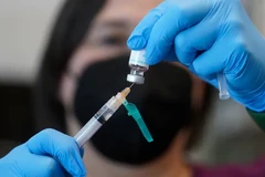 Canada không cần ban bố tình trạng khẩn cấp về bệnh đậu mùa khỉ