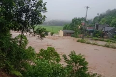 Phú Thọ: Mưa lớn gây thiệt hại nhiều tài sản của người dân