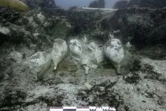 Pháp điều tra vụ xác tàu cổ 2.200 năm tuổi bị trộm 'ghé thăm'