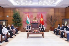 Phát triển quan hệ hợp tác Việt Nam-Hungary đi vào thực chất, hiệu quả